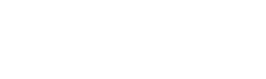 Saugumo kodas